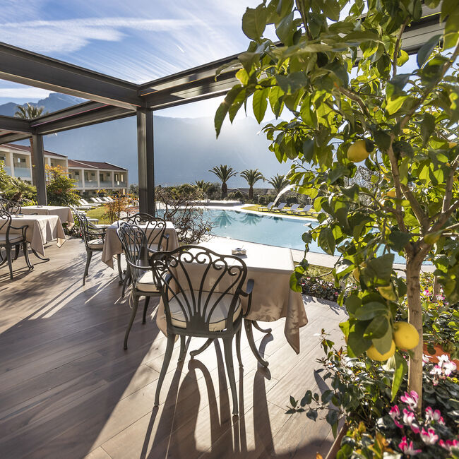 Limone, la lipoproteina magica