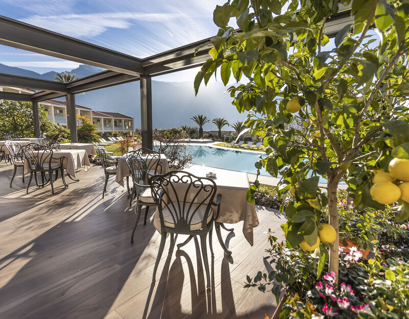 Limone, la lipoproteina magica